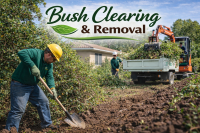 Bush clearing and removal