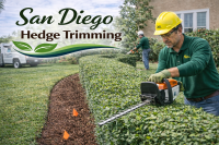 San Diego Hedge Trimming
