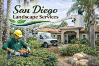 San Diego Landscape Services