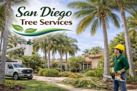San Diego Tree Services