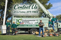 San Diego Tree Solution Contact