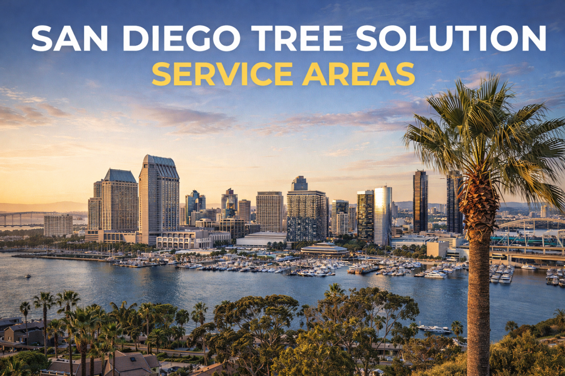 San Diego Tree Solution Service Areas