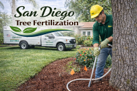 San Diego Tree fertilization